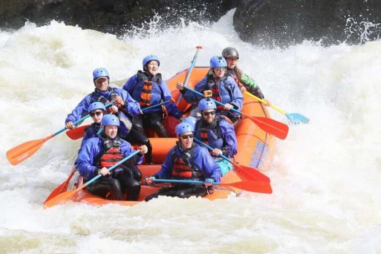 New River Gorge: Lower New River Full-Day Rafting Tour - Who Will Enjoy This Tour?