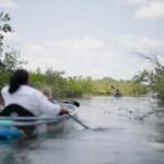 New Smyrna Beach: Guided Clear Kayak Tour with Wildlife - What You’ll Learn