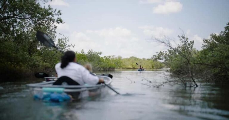 New Smyrna Beach: Guided Clear Kayak Tour with Wildlife - What You’ll Learn