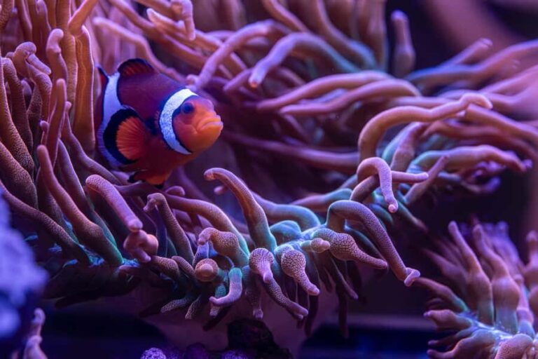 New York Aquarium Entry Ticket - Who Will Appreciate This Visit?