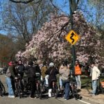 New York: Central Park Premium Bike Rental - How the Experience Unfolds