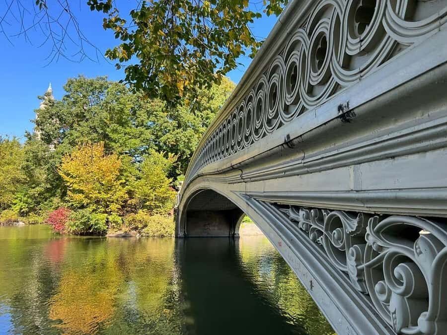 New York: Central Park Selfie Tour with Photographer - Who Will Love This Tour?