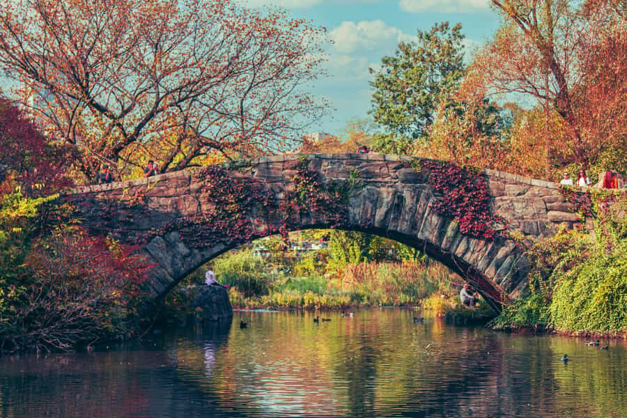 New York: Central Park Small Group Walking Tour - A Detailed Look at the Tour Itinerary