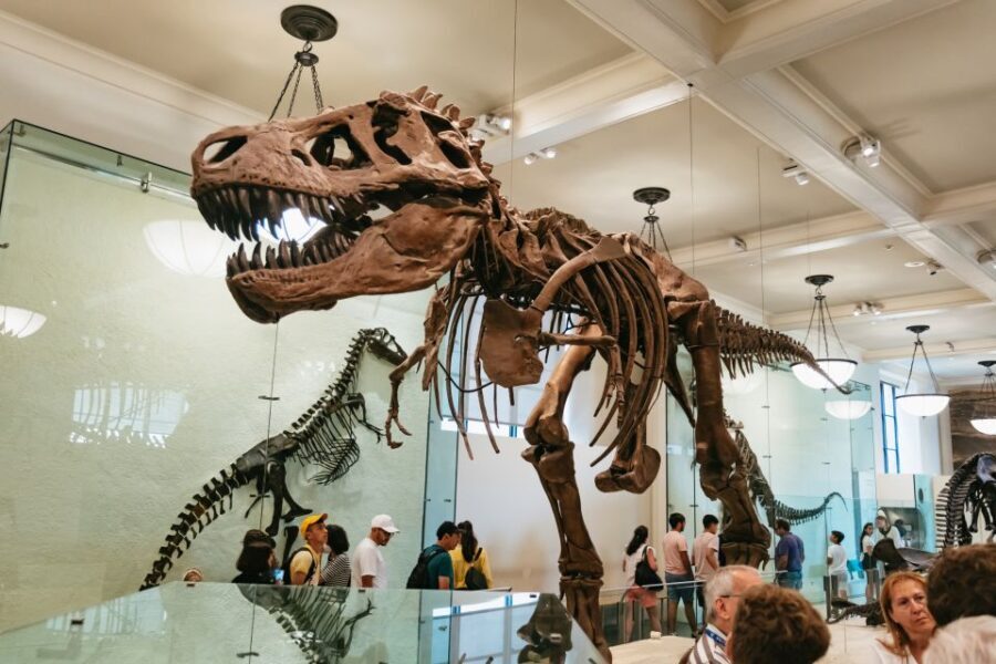New York City: American Museum of Natural History Ticket - Reviews and Authentic Perspectives