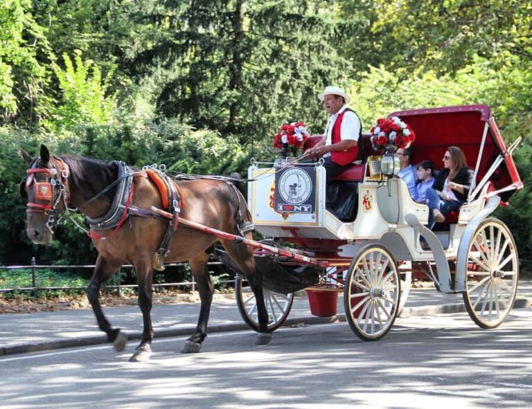 New York City: Central Park Horse Carriage 25-min Ride - The Experience and Its Appeal