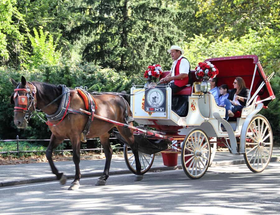 New York City: Central Park Horse Carriage 25-min Ride - The Experience and Its Appeal