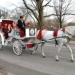 New York City: Central Park Horse Carriage 45-min Ride - What the Tour Includes and How It Works