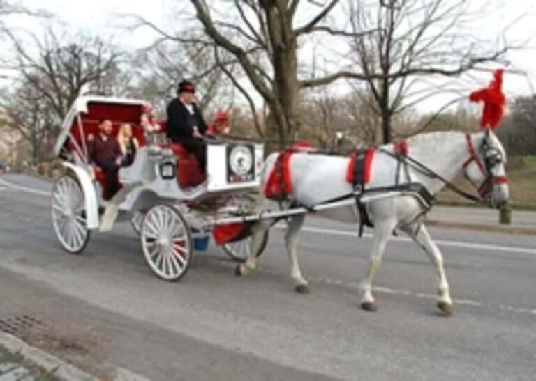 New York City: Central Park Horse Carriage 45-min Ride - What the Tour Includes and How It Works