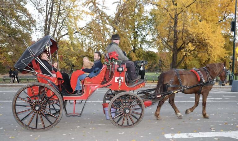 New York City: Central Park Horse Carriage 55-min Ride - Is It Worth the Price?