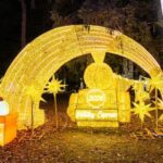 New York City Fantasy Winter Fairyland Lumino City 1 Day Tour - The Experience’s Appeal: Who Should Consider This Tour?