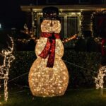 New York: Dyker Heights Christmas Lights Guided Tour - What’s Included and Why It Matters