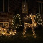 New York Holiday Lights Tour with Dyker Heights - What Makes This Tour Stand Out