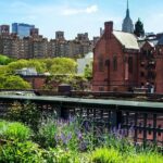 New York: private visit of Chelsea neighborhood - What Travelers Say and Why It Matters