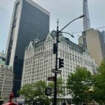 New York's Gilded Age: fortunes, architecture, and excess (18701900) - What Makes This Tour Stand Out?