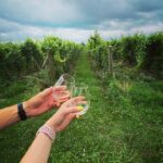 Niagara: A Twilight Wine Adventure With 3-Course Dinner - Who Will Love This Tour?