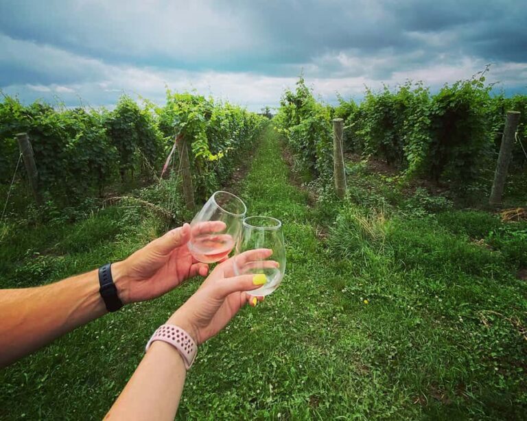 Niagara: A Twilight Wine Adventure With 3-Course Dinner - Who Will Love This Tour?