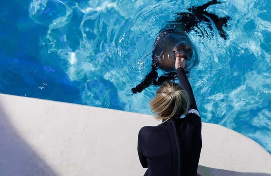 Niagara: Aquarium of Niagara General Admission - Authentic Visitor Perspectives