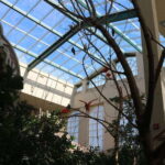 Niagara Falls, Canada: Bird Kingdom Entry Ticket - Is it Worth the Price?