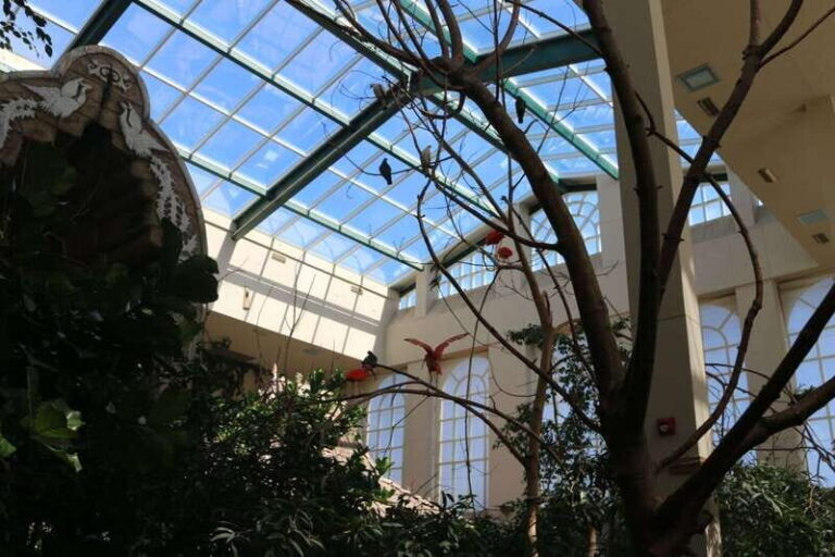 Niagara Falls, Canada: Bird Kingdom Entry Ticket - Is it Worth the Price?