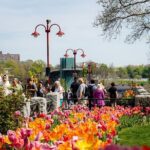 Niagara Falls Cruise and Scenic Walking Tour - Who Should Consider This Tour?