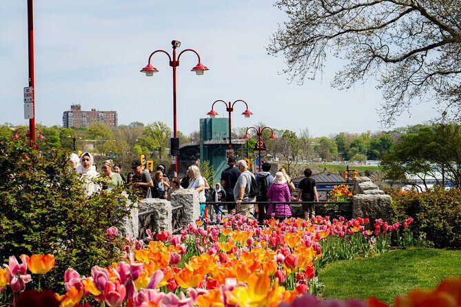 Niagara Falls Cruise and Scenic Walking Tour - Who Should Consider This Tour?