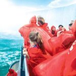 Niagara Falls Day Tour from Toronto with Boat Cruise and Lunch - The Real Experiences: What Travelers Say