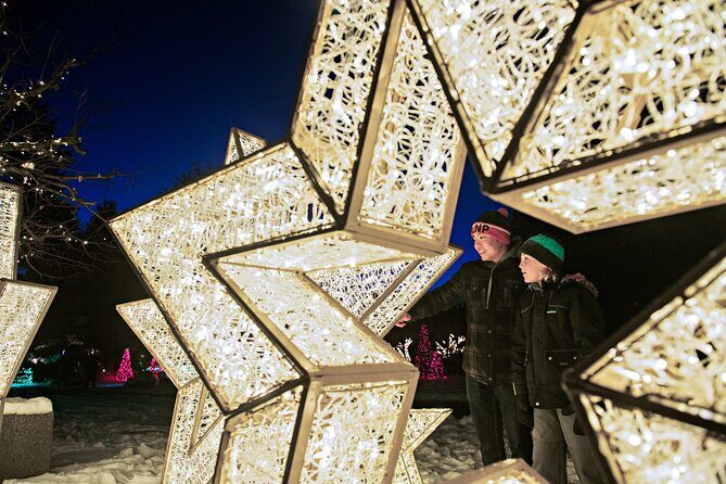 Niagara Falls Festival of Lights Tour from Toronto - Experience the Festival of Lights