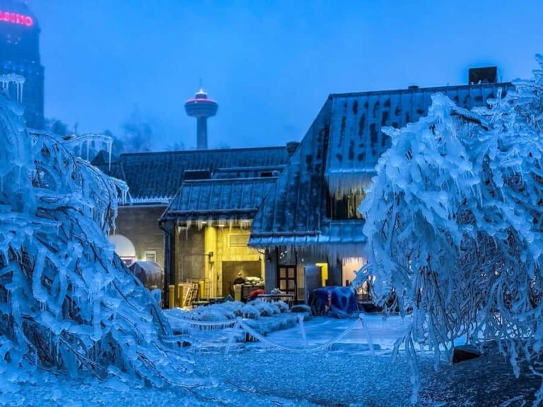 Niagara Falls: Power Station and "Niagara Takes Flight" Tour - The Itinerary in Detail