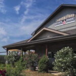 Niagara Falls: Public Niagara Wine Tour with Transportation - Who Is This Tour Best For?