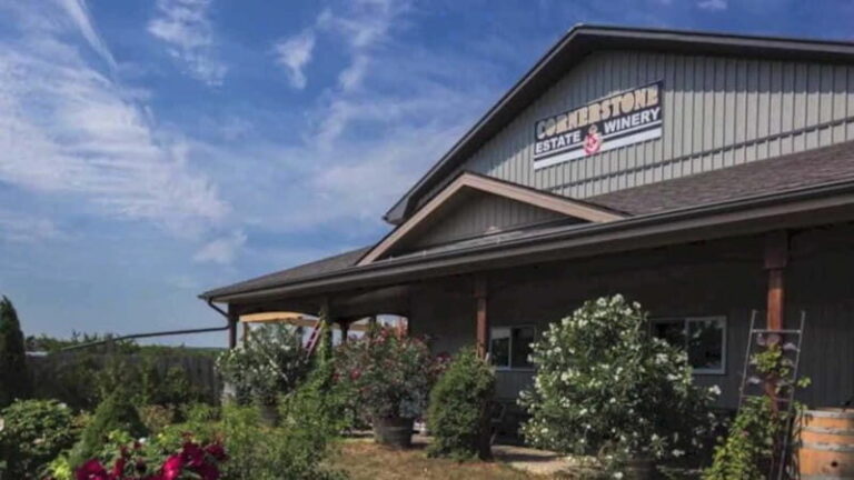 Niagara Falls: Public Niagara Wine Tour with Transportation - Who Is This Tour Best For?