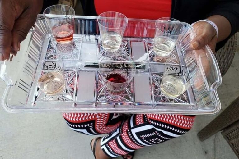 Niagara Falls: USA Small-Group Boutique Wine Tour - The Itinerary: What You’ll Experience