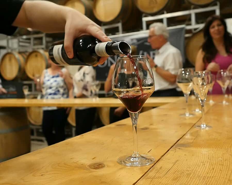 Niagara: Lunch in the Vineyard Experience - An In-Depth Look at the Itinerary