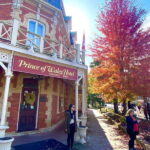 Niagara-on-the-Lake: Guided Walking Tour - Exploring the Historic Sites