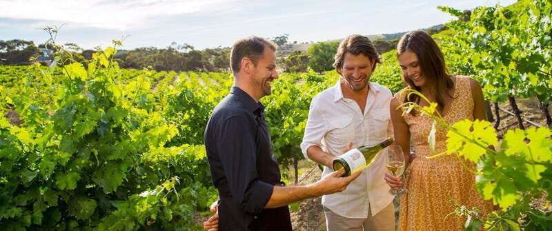 Niagara-on-the-Lake: Wine Tour with Tastings and Lunch - Key Points