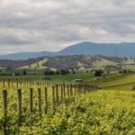 Niagara Wine Trail Tour - FAQ