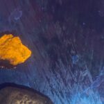 Night time fluorescent Rockhounding Tour - Final Thoughts: Who Should Book This Tour?