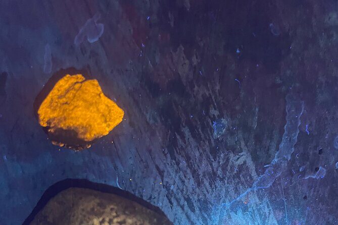 Night time fluorescent Rockhounding Tour - Final Thoughts: Who Should Book This Tour?