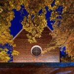 Night Watchman's Ghost Tour - Value and Considerations