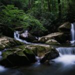 Nighttime Forest Firefly Hike - Practical Tips for Participants