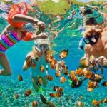 Nizuc Reef Snorkel Experience - Detailed Breakdown of the Itinerary