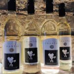 NON BUS 3 Winery Old Mission Peninsula Sunset Wine Tour - Itinerary Breakdown: What to Expect