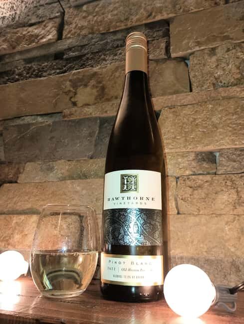 NON BUS GIRLS TRIP Traverse City Old Mission Wine Tour - Who Will Love This Tour?