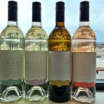 NON BUS Sunday Funday Traverse City Old Mission Wine Tour - Who Will Love This Tour?