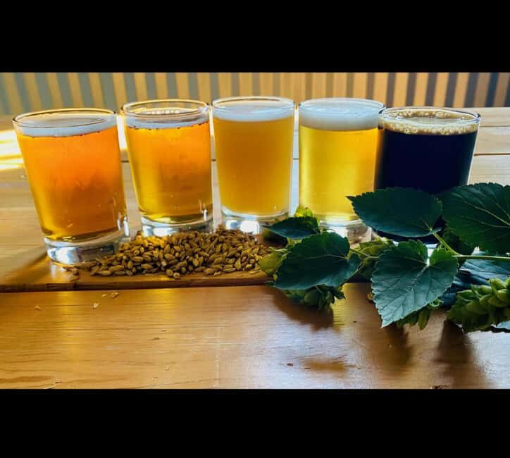NON BUS Traverse City IPA, Beer, Distillery and Wine Tour - Key Points