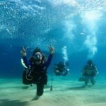Non-Certified Diving Adventure in Cabo San Lucas - The Value of Included Features