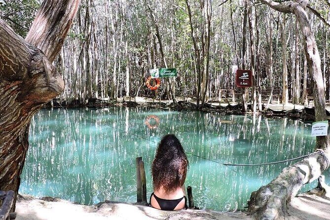 North Coast Adventure Isla Columpio Puerto Progreso and Chuburná - What Travelers Are Saying