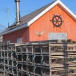 North Shore And More Private Tour - What You Can Expect on the Itinerary