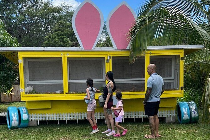 North Shore Farm: Anahulu River, Kayak-Sup, Turtles, Lunch & More - Why This Tour Works for Visitors