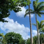 North Shore Highlight Tour - Detailed Review of the North Shore Highlight Tour