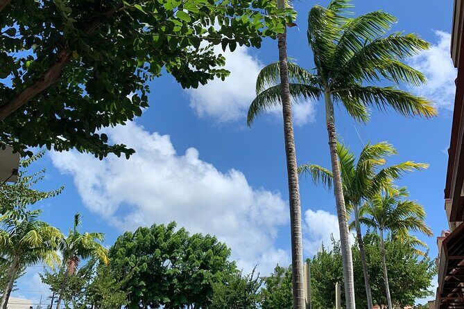 North Shore Highlight Tour - Detailed Review of the North Shore Highlight Tour